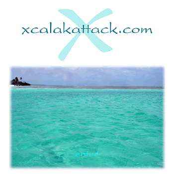 Website chronicling travel to Xcalak in Quintana Roo, Mexico